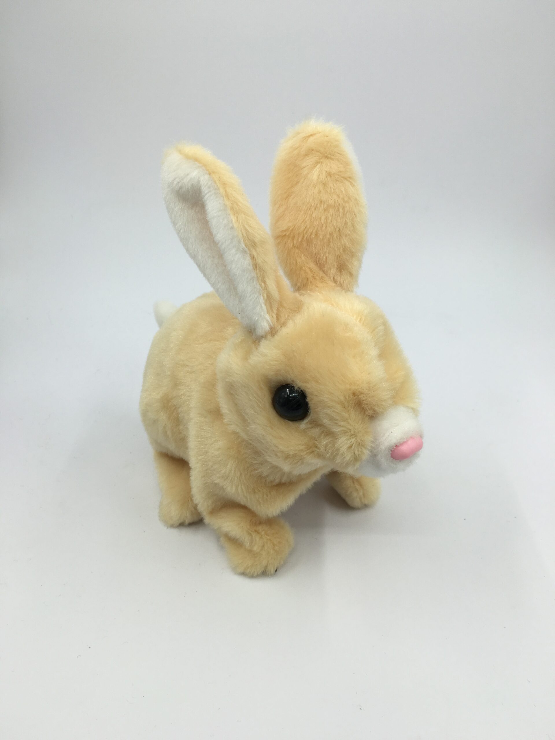 walk a dog toy